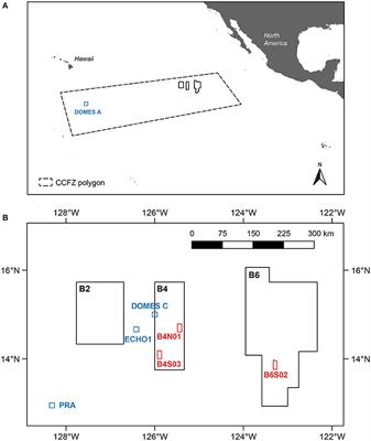 The Community Structure of Deep-Sea Macrofauna Associated with Polymetallic Nodules in the Eastern Part of the Clarion-Clipperton Fracture Zone